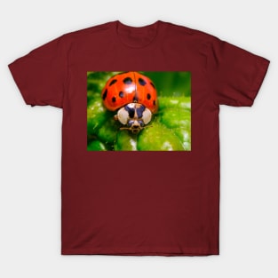lil' Ladybug Macro Photograph T-Shirt